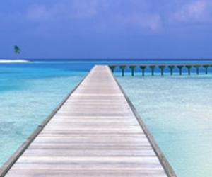 �����̔��ю���